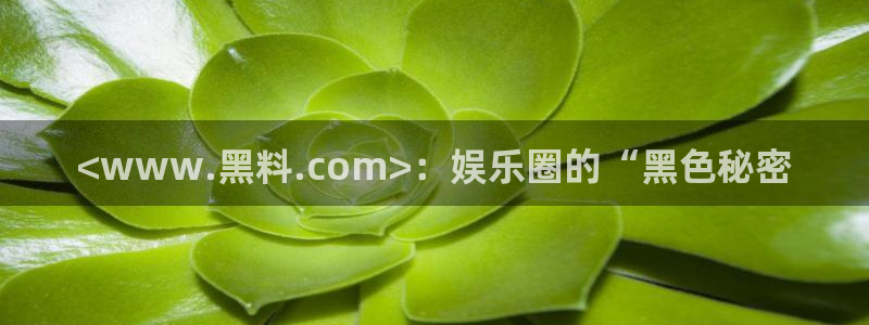 51吃瓜群众路线：<www.黑料.com>：娱乐圈的“黑色秘密