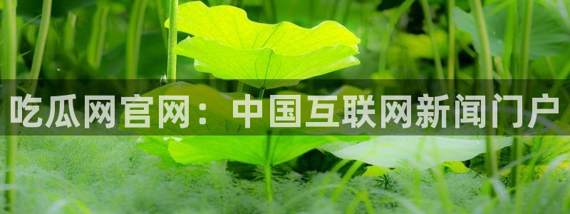 nanataipei吃瓜：吃瓜网官网：中国互联网新闻门户