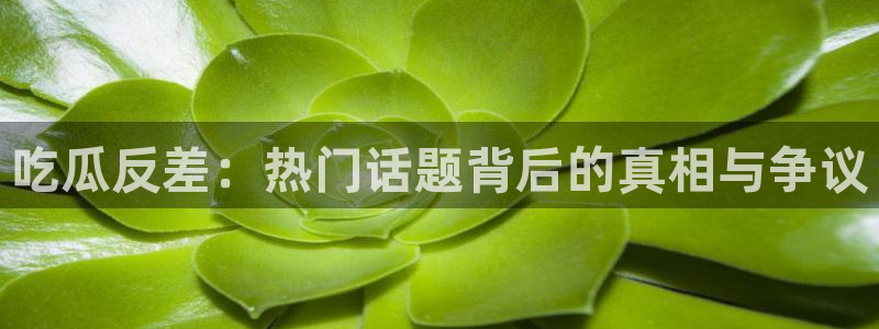 91吃瓜网今日吃瓜入口：吃瓜反差：热门话题背后的真相与争议