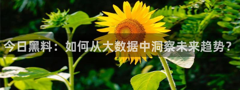 91吃瓜今日吃瓜入口