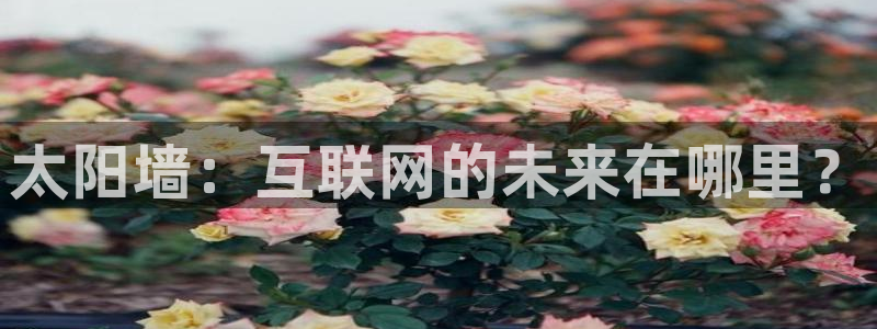 718.sⅹ吃瓜718.sx：太阳墙：互联网的未来在哪里？