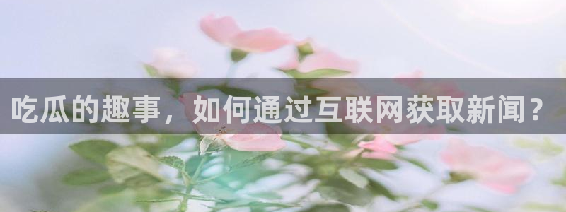 黑料揭秘：吃瓜的趣事，如何通过互联网获取新闻？