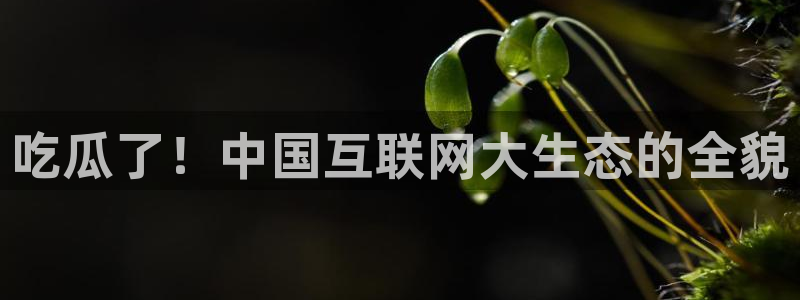 各种网红爆料吃瓜网站：吃瓜了！中国互联网大生态的全貌