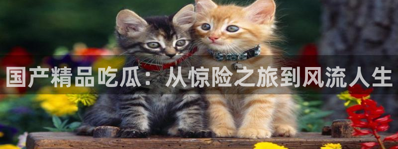 www.吃瓜：国产精品吃瓜：从惊险之旅到风流人生
