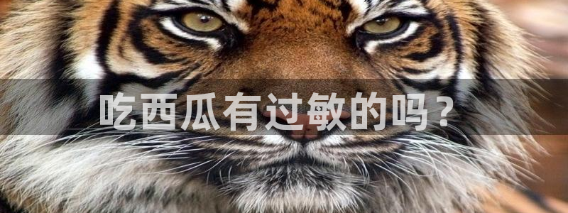 51吃瓜全网更新最快的吃瓜网：吃西瓜有过敏的吗？