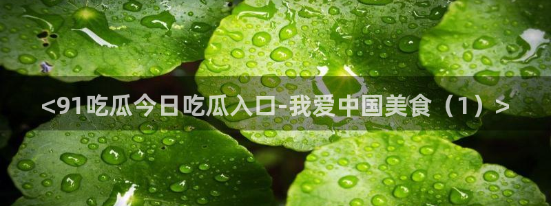 各种网红爆料吃瓜：<91吃瓜今日吃瓜入口-我爱中国美食（1）>