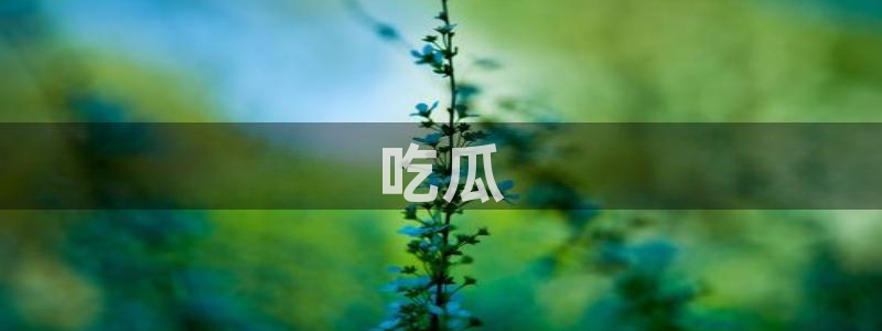 51cg热门大瓜今日吃瓜：吃瓜