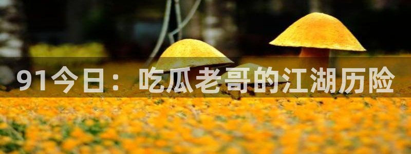 黑料曝光：91今日：吃瓜老哥的江湖历险